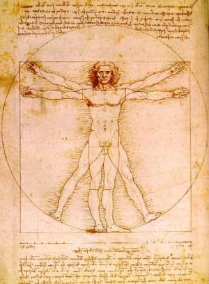 Leonardo Da Vinci Vitruvian Man